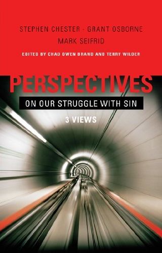 perspectives-on-our-inner-struggle